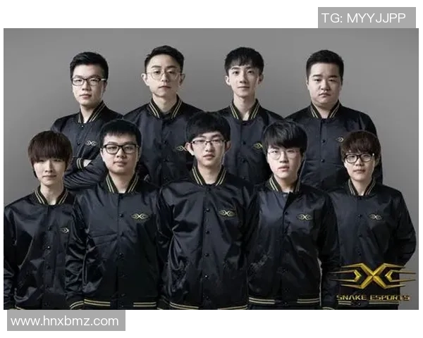 和平精英战术解析：RNG战队如何构建高效防守体系与应对策略