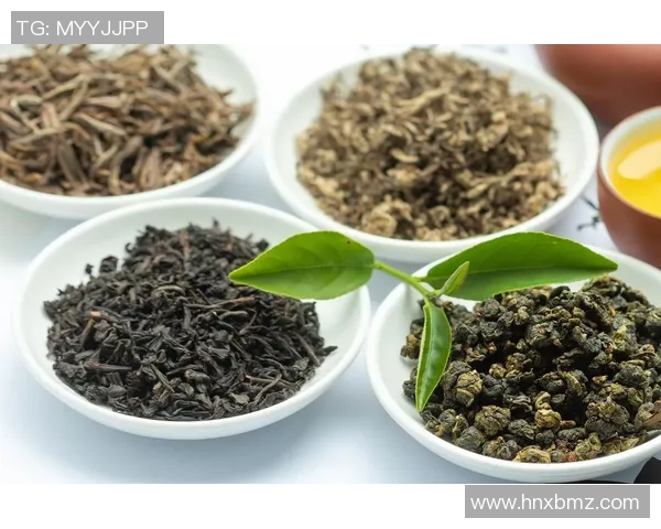 茶叶的历史传承与文化魅力探索：从古至今的茶叶发展与品鉴艺术