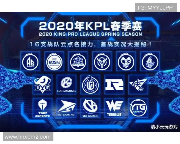 WE战队个人能力深度分析与战术影响探讨