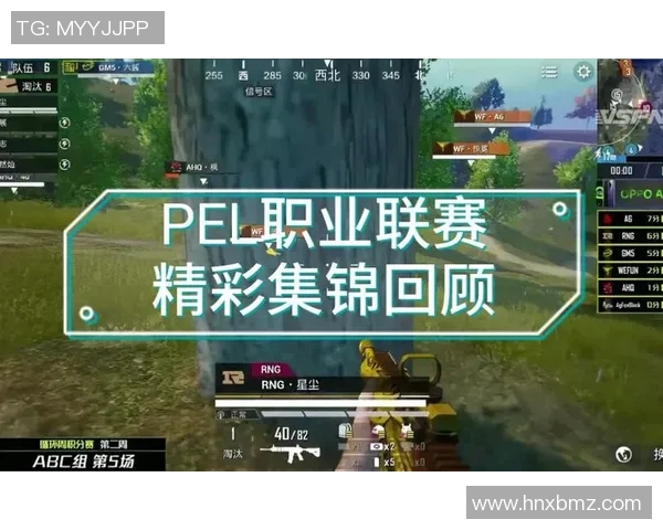 和平精英盛宴揭秘RNG战队的耐力与团队合作之道